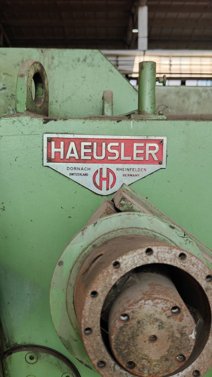 Haeusler HPR16 сортогиб