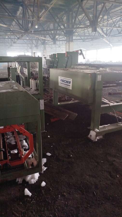 Линия автоматической упаковки Fischer ASG 4 2003г.