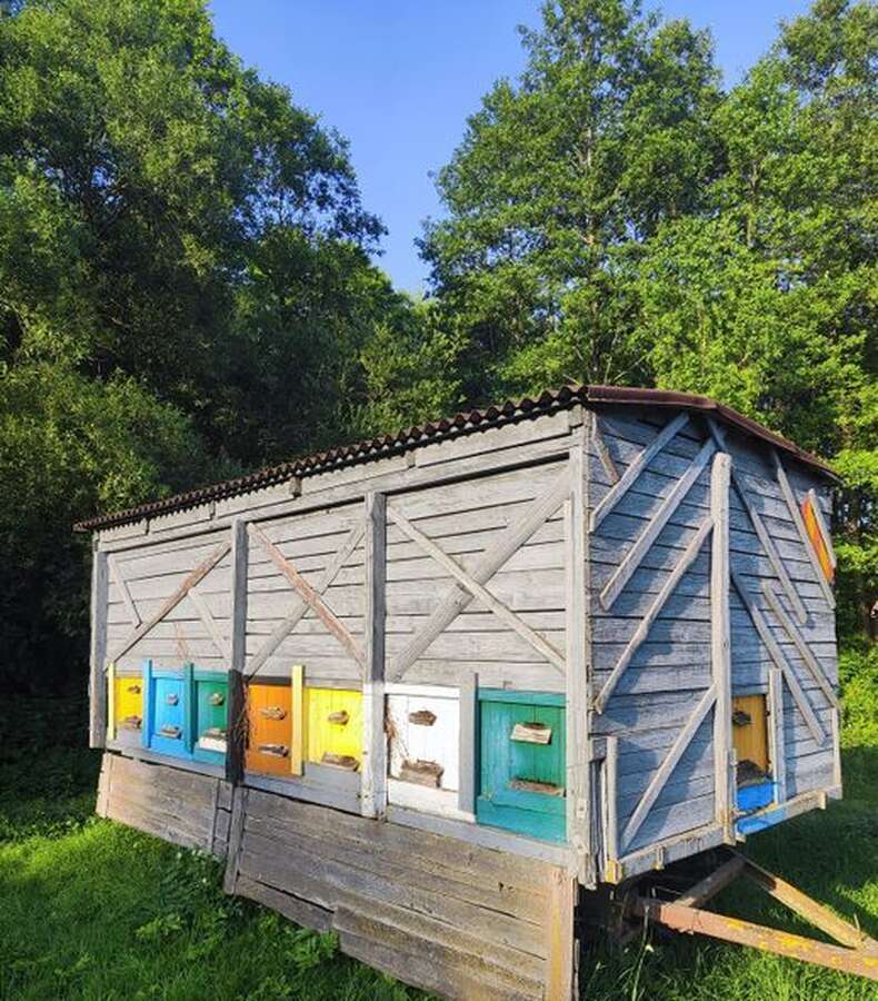 Пчелопавильон