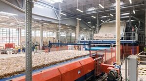 Деревообрабатывающее производство полного цикла