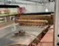 Intermac Master Bevel 1500 обрабатывающий центр по стеклу с ЧПУ
