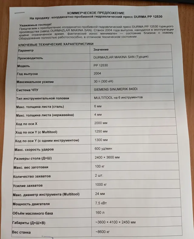 Дыропробивной пресс DURMA PP6 1250х30