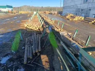 Автоматизированная линия сортировки пиловочника с 3D сканом