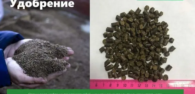 Завод по производству органического удобрения