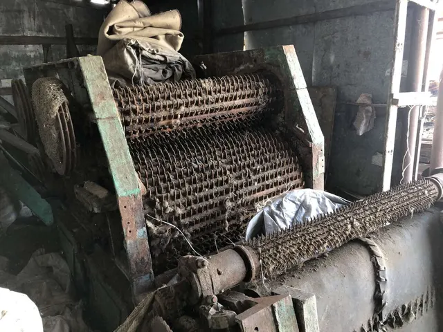 Рвач трепальный Марш-1