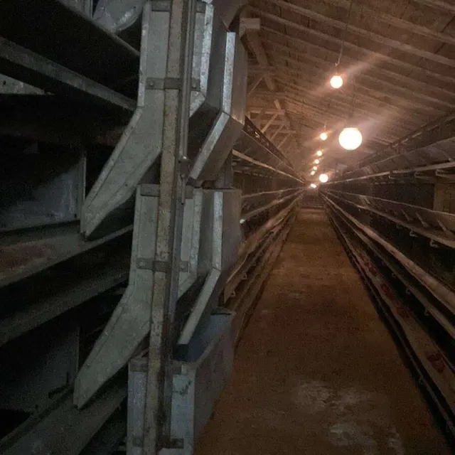 Комплект клеточного оборудования КП-12ЛМ 32 000кур