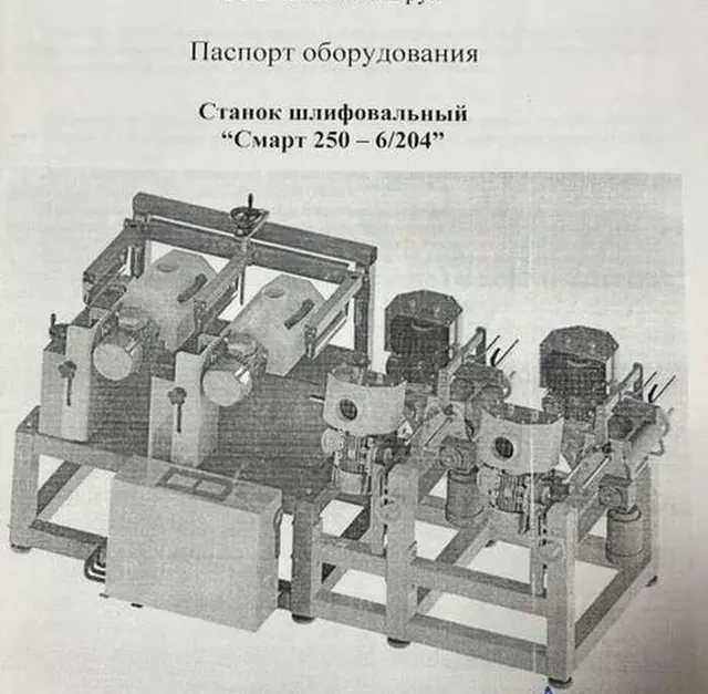 Станок шлифовальный Смарт 250-6/204 2021 г.в.