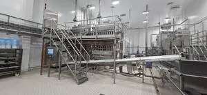 Линия фасовки творога Ulma 700