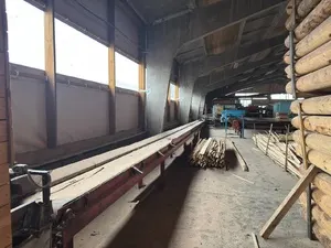 Линия лесопильная Wravor Словения