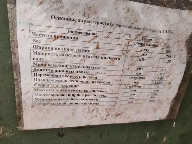 Многопильный станок COSTA