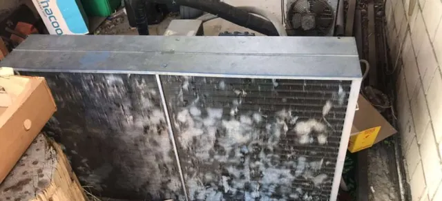 Оборудование для шоковой заморозки