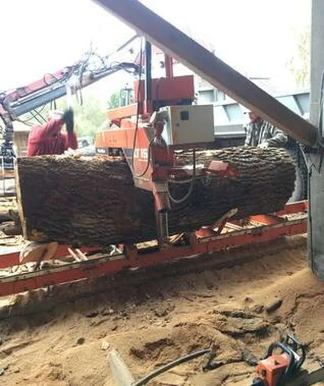 Ленточная пилорама Wood-Mizer LT15